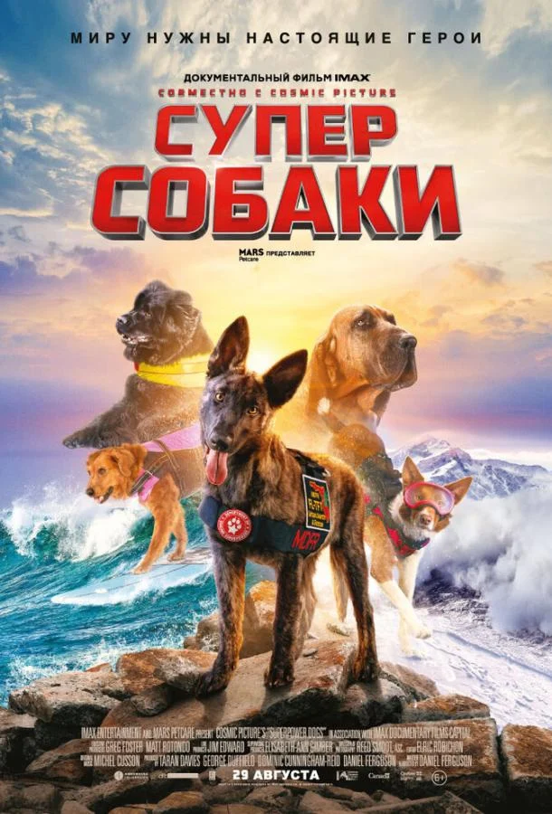 Смотреть Суперсобаки (2019) онлайн в хорошем качестве, бесплатно на русском языке